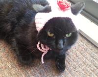 Crochet Cat Rose Hat